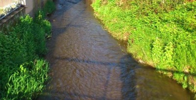 odenwald_artikelfoto