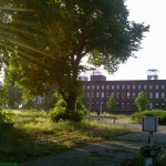 Vom Tor aus... - Schacht Walsum Sommer 2011