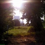 Vom Tor aus... - Schacht Walsum Sommer 2011
