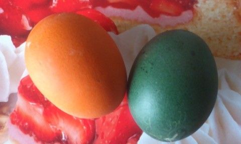 frohe_ostern_2013