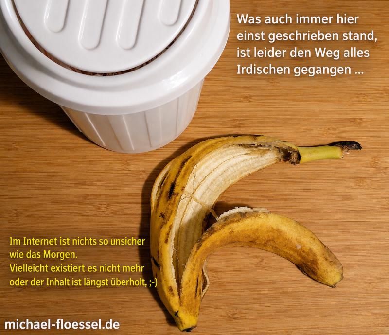 Aus der Welt des Netzes verschwunden Symbolbild für alte, verschwundene oder überholte Internetinhalte.
