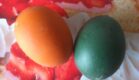 frohe_ostern_2013